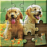 Jiggsaw Puzzle